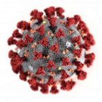 ingrandimento del coronavirus al microscopio